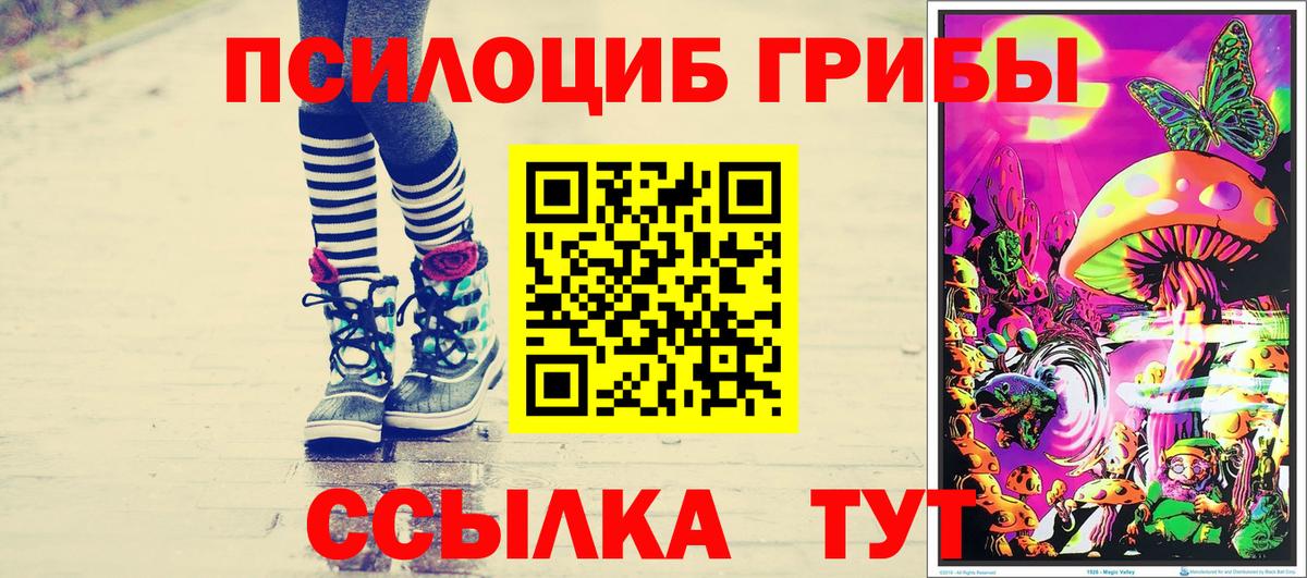 Галлюциногенные грибы Cubensis Уссурийск